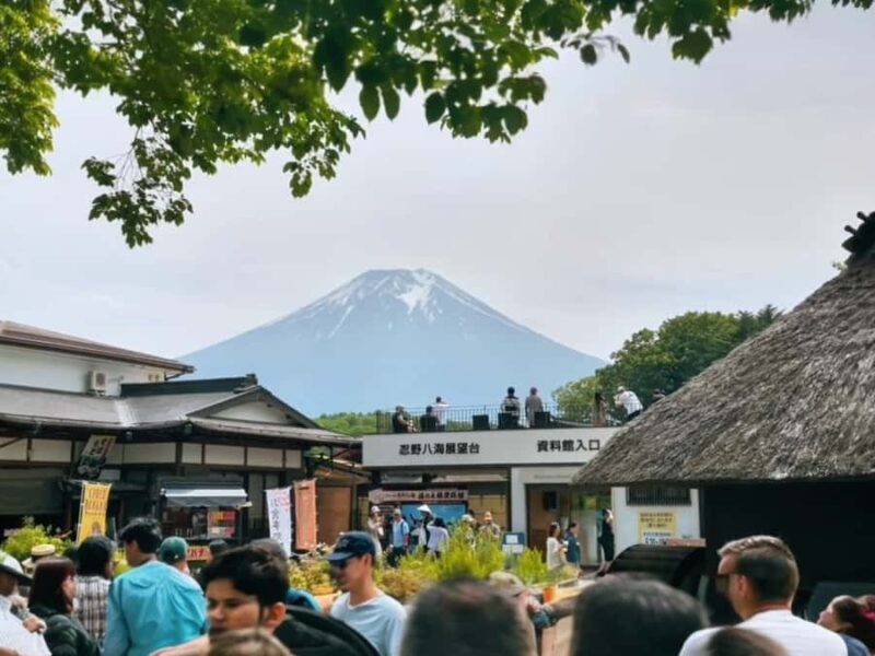 Tokyo: Mount Fuji Private Customized Tour with Cruise Option - Who Should Consider This Tour?