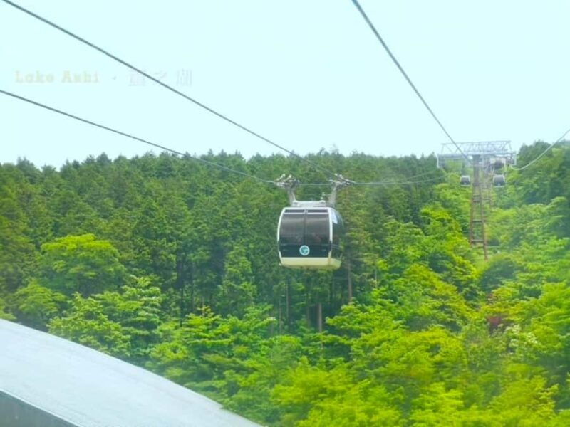 Tokyo: Mount Fuji Private Customized Tour with Cruise Option - Introduction: Why Choose This Tour?