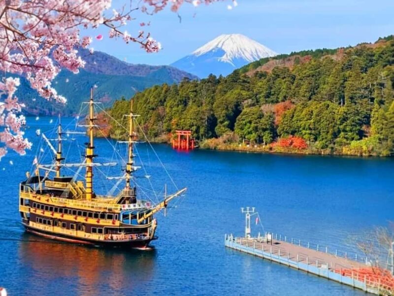 Tokyo: Mount Fuji Private Customized Tour with Cruise Option - Logistics and Practicalities