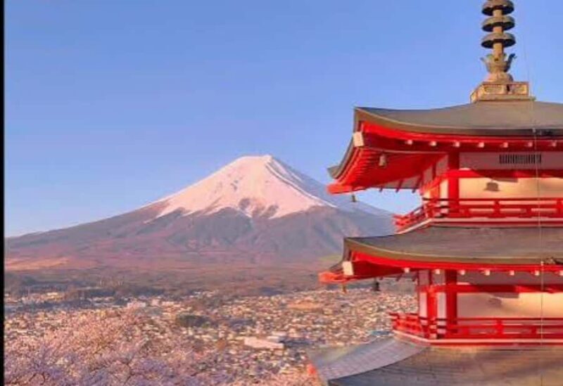 Tokyo: Mount Fuji Private Customized Tour With English Guide - Who Is This Tour Best For?