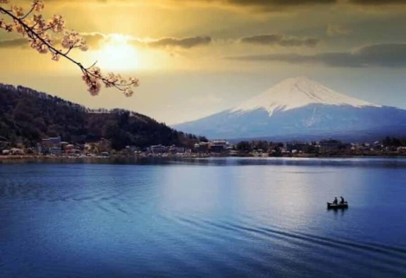 Tokyo: Mount Fuji Private Customized Tour With English Guide - Transportation and Group Size