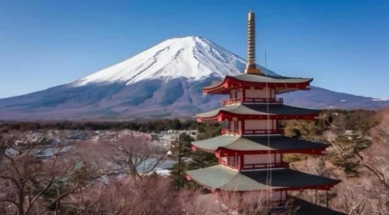 Tokyo: Mount Fuji Private Customized Tour With English Guide - Who Would Love This?