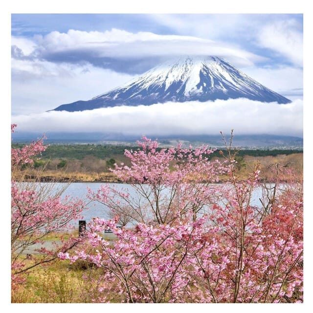 Tokyo: Mount Fuji Private Day Tour Comfortable Pickup & Drop - FAQ