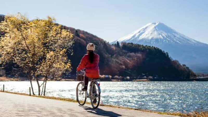 Tokyo: Mount Fuji Private Day Trip with English Guide - Who Should Book This Tour?
