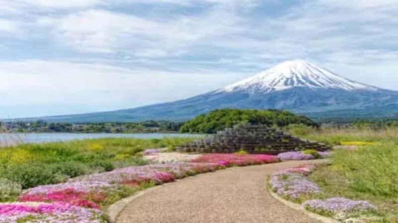 Tokyo: Mount Fuji Private Full-Day Tour With English Guide - FAQ