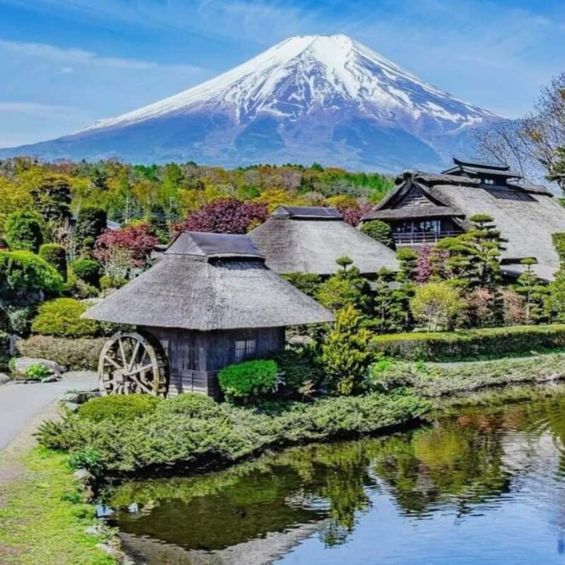 Tokyo: Mount Fuji Private Fully Customizable Itinerary Tour - FAQ