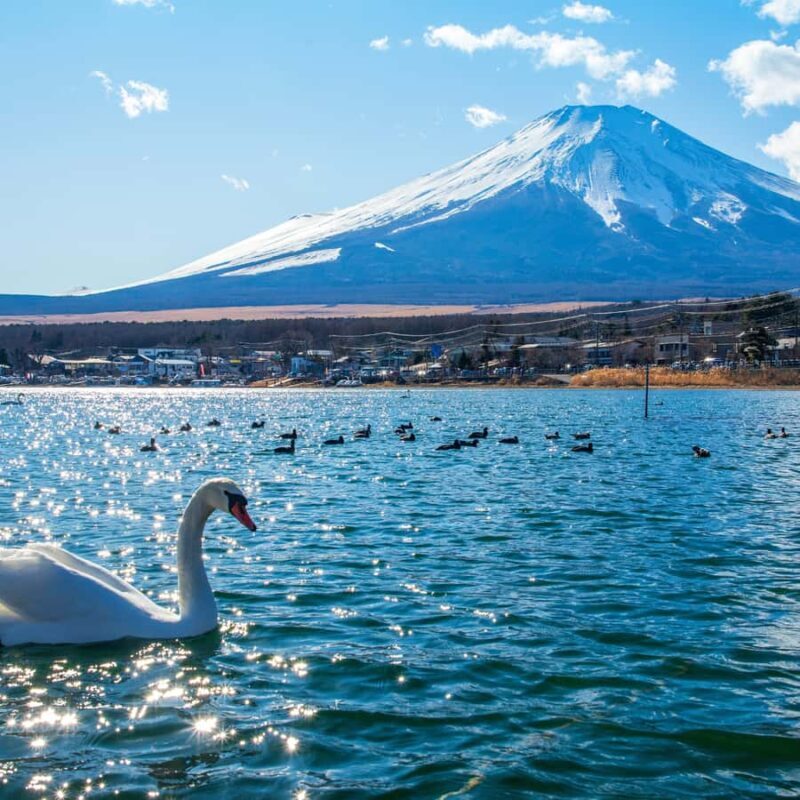 Tokyo: Mount Fuji Private Tour Custom itinerary With Guide - Good To Know