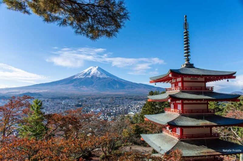 Tokyo: Mount Fuji Private Tour Custom itinerary With Guide - Transportation and Timing