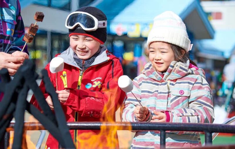 Tokyo: Mount Fuji & Snow Adventure Day Trip to Yeti Resort - The Itinerary Breakdown