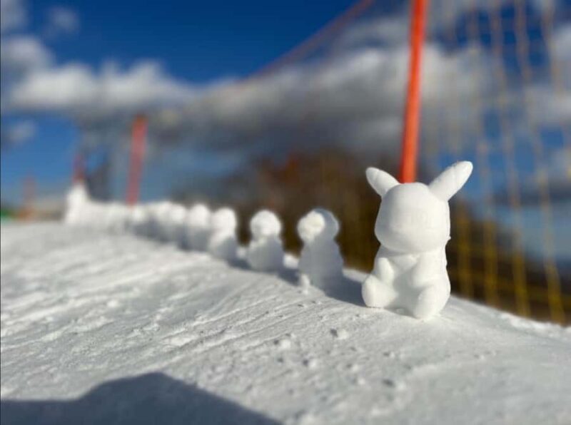 Tokyo: Mount Fuji & Snow Adventure Day Trip to Yeti Resort - Pricing and Value