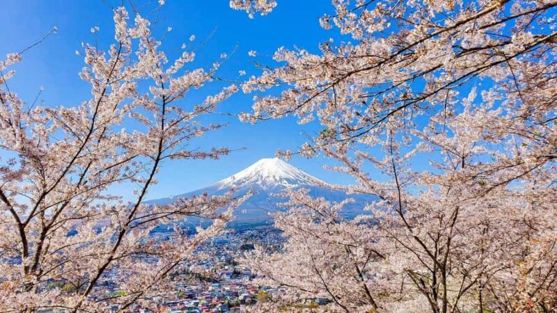 Tokyo: Mount Fuji, Twin Lakes Day Trip - The Sum Up