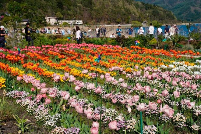 Tokyo: Mount Fuji Views & KABA Amphibious Bus Day Tour (OPT) - Unique Tour Features