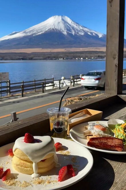 Tokyo: Mount Fuji Views & KABA Amphibious Bus Day Tour (OPT) - Inclusions and Exclusions