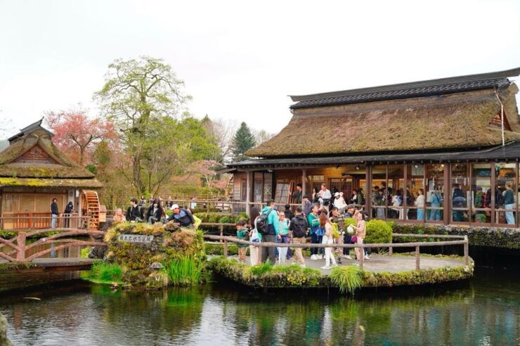Tokyo: Mount Fuji Views & KABA Amphibious Bus Day Tour (OPT) - Good To Know