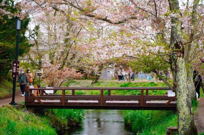 Tokyo: Mount Fuji Views & KABA Amphibious Bus Day Tour (OPT) - Oishi Park Experience
