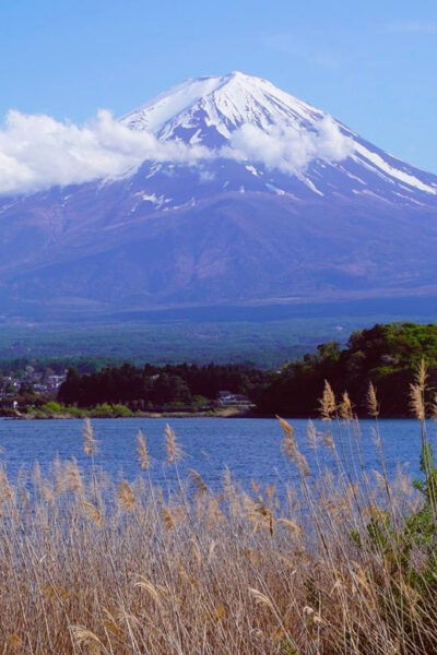 Tokyo: Mount Fuji Views & KABA Amphibious Bus Day Tour (OPT) - Transportation Details