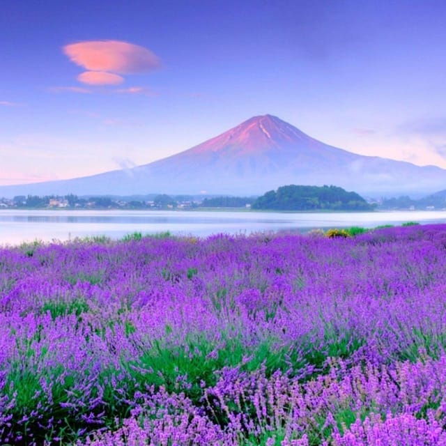 Tokyo: Mount Fuji, Yamanaka Lake, Kawaguchiko Lake Day Trip - Good To Know