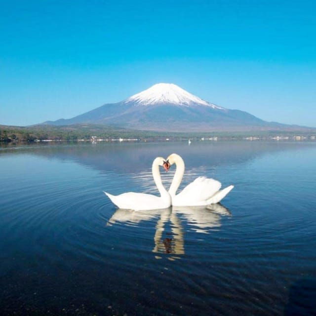 Tokyo: Mount Fuji, Yamanaka Lake, Kawaguchiko Lake Day Trip - Nearby Attractions
