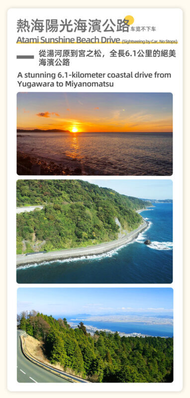 Tokyo: Mount Omuro & Jogasaki Coast Full-Day Guided Tour - Ito Marine Town: a practical final stop