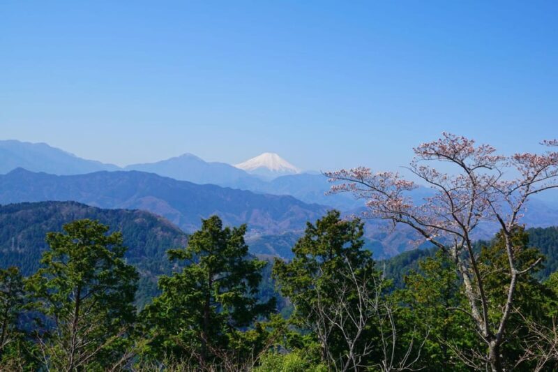 Tokyo: Mount Takao Guided Hiking Tour - Who Is This Tour Best For?
