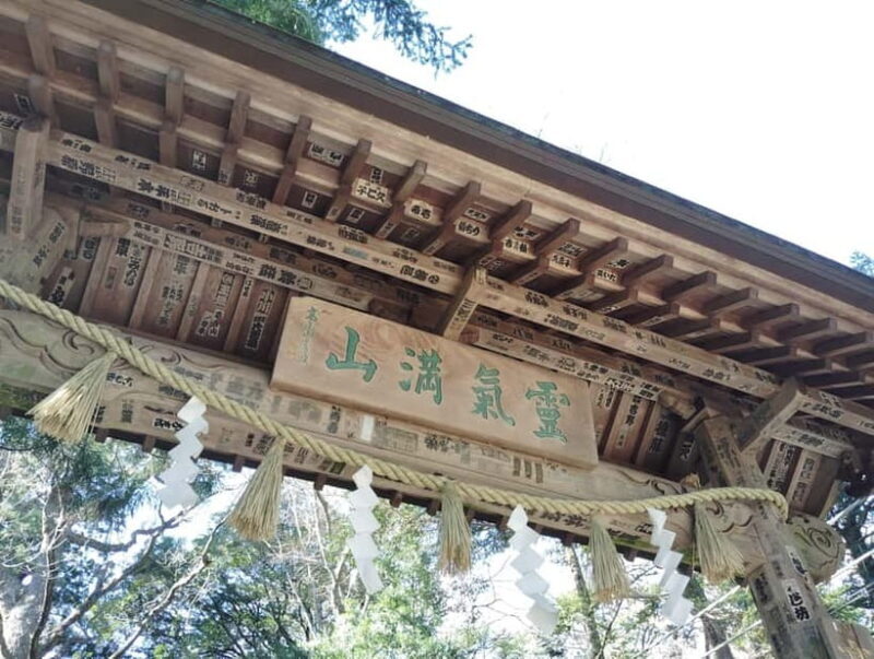 Tokyo: Mount Takao Guided Tour - The Details: Why This Tour Works