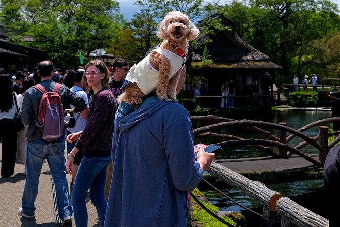 Tokyo Mountain Fuji 5th Station Day Tour 9-Person Tour - Why This Tour Makes Sense