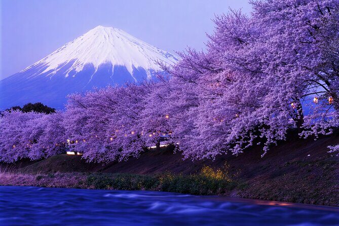 Tokyo: Mt Fuji 3 Lakes Day Trip Secret Spots and Seasonal View - Practical Details and Value