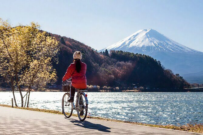 Tokyo: Mt Fuji 3 Lakes Day Trip Secret Spots and Seasonal View - FAQs