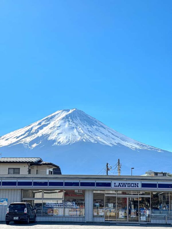 Tokyo: Mt. Fuji 5th Popular Spots and Sagamiko Illumination - Who Would Enjoy This Tour?