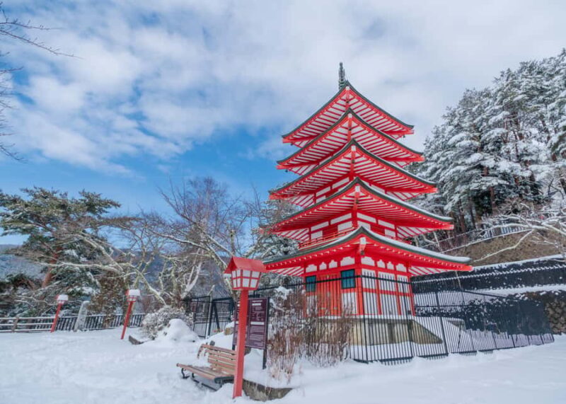 Tokyo: Mt. Fuji 5th Popular Spots and Sagamiko Illumination - Final Thoughts
