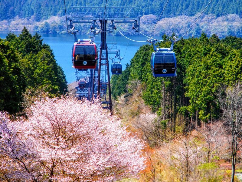 Tokyo Mt Fuji 5th St & Hakone Cruise Bus Tour w/Bullet Train return option - Starting in Ginza or Shinjuku