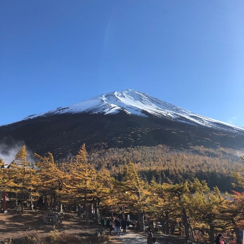Tokyo Mt Fuji 5th St & Hakone Cruise Bus Tour w/Bullet Train return option - Lunch at the foot of the mountain