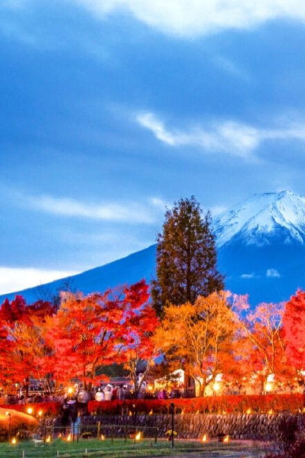 Tokyo: Mt. Fuji 5th Station, Oshino Hakkai, Onsen 1-Day Trip - Scenic Locations