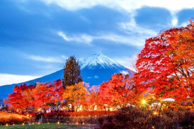 Tokyo: Mt. Fuji 5th Station, Oshino Hakkai, Onsen 1-Day Trip - Guided Tour Details