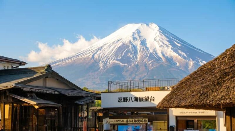 Tokyo: Mt. Fuji 6 Attractions: Lake Kawaguchi, Oshino Hakkai - Good To Know