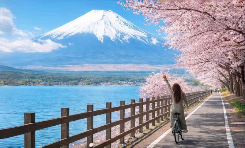 Tokyo: Mt. Fuji 6 Attractions: Lake Kawaguchi, Oshino Hakkai - A Closer Look at the Tour Itinerary and Highlights