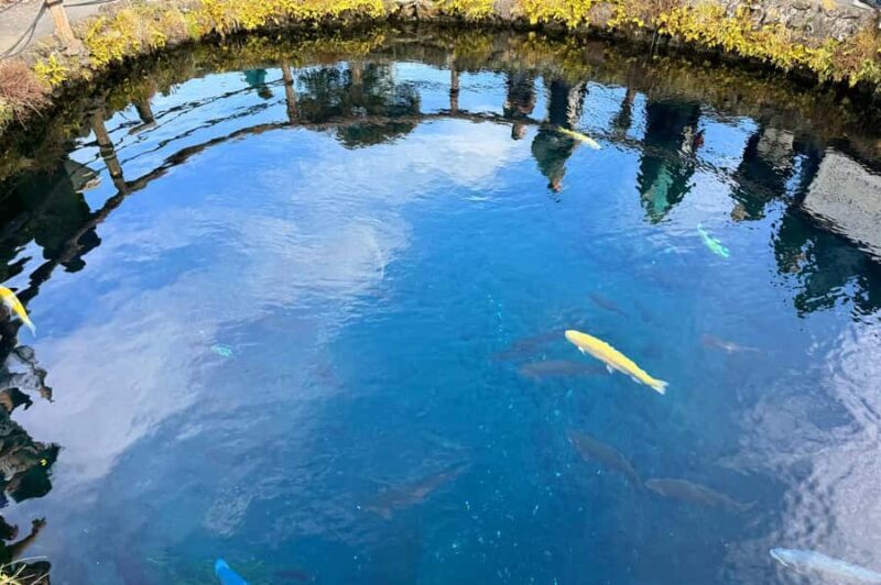 Tokyo: Mt. Fuji 6 Attractions: Lake Kawaguchi, Oshino Hakkai - The Experience of the Guides