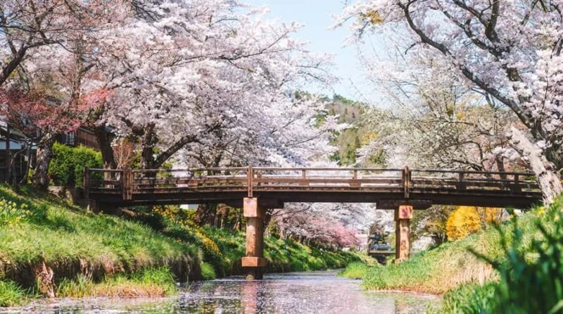 Tokyo: Mt. Fuji 6 Attractions: Lake Kawaguchi, Oshino Hakkai - Who Is This Tour Best For?