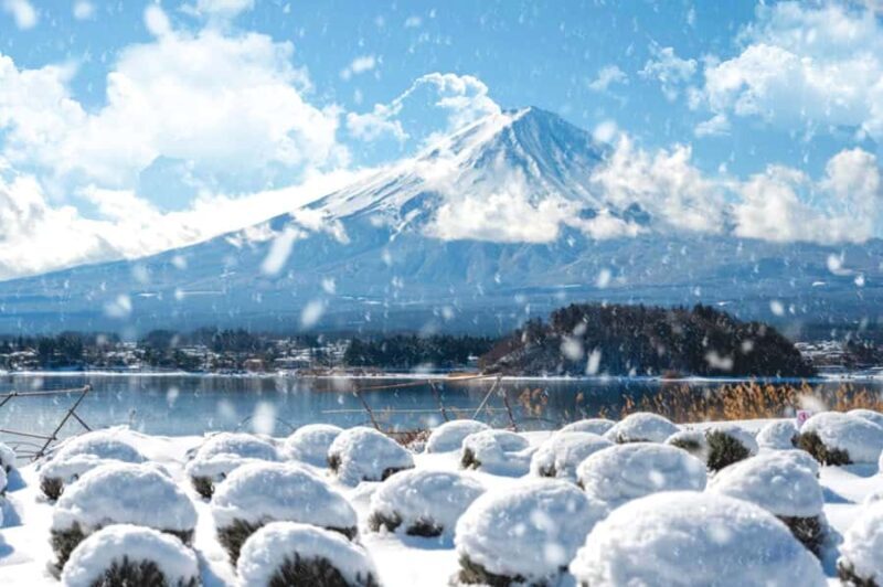 Tokyo: Mt. Fuji & 6 Must-See Spots: Oshino & Lake Kawaguchi - What Makes This Tour Stand Out?