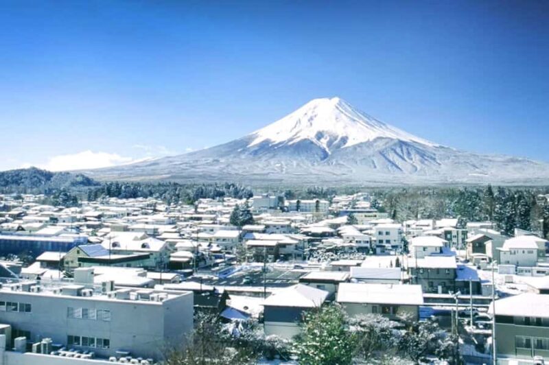 Tokyo: Mt. Fuji & 6 Must-See Spots: Oshino & Lake Kawaguchi - Considering the Value