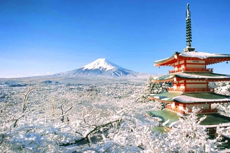 Tokyo: Mt. Fuji & 6 Must-See Spots: Oshino & Lake Kawaguchi - Who’s This Tour Best For?