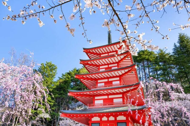 Tokyo: Mt Fuji 6 Spots Tour, Lake Yamanaka, Lake Kawaguchi - Practical Considerations