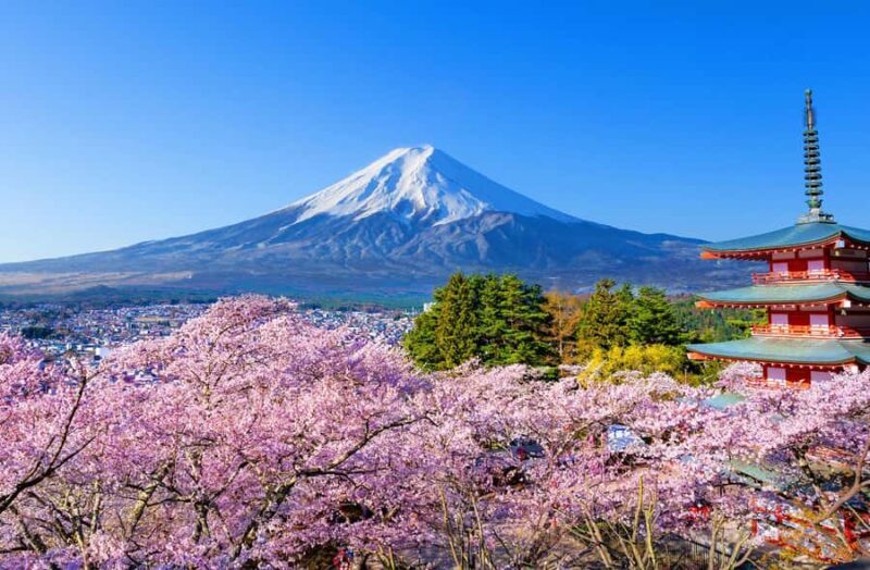 Tokyo: Mt Fuji 6 Spots Tour, Lake Yamanaka, Lake Kawaguchi - FAQ
