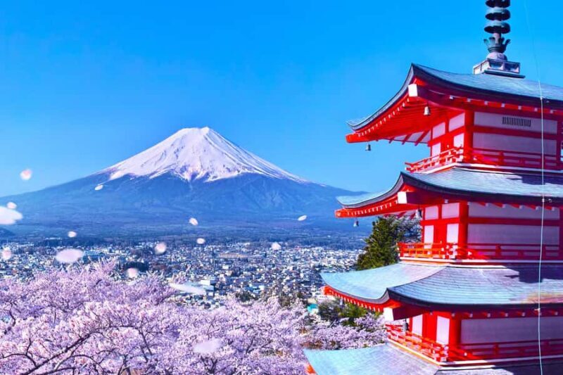 Tokyo: Mt Fuji 6 Spots Tour, Lake Yamanaka, Lake Kawaguchi - Good To Know