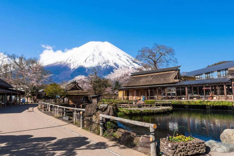 Tokyo: Mt Fuji 6 Spots Tour, Lake Yamanaka, Lake Kawaguchi - Who is This Tour Best For?