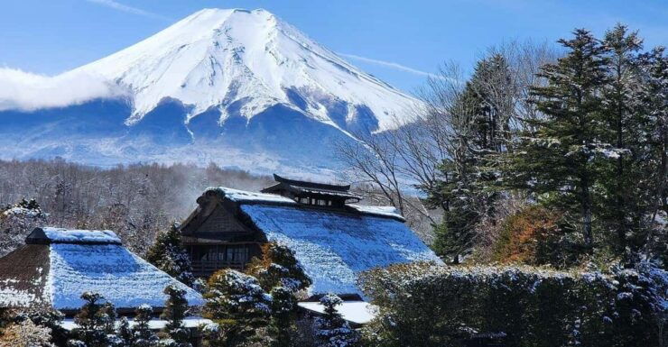 Tokyo: Mt. Fuji and Hakone 1-Day Private Tour - Good To Know