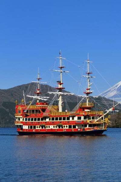 Tokyo: Mt. Fuji and Hakone 1-Day Private Tour - Experience Tips