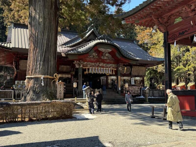 Tokyo: Mt. Fuji and Hakone 2-Day Camping Adventure - Good To Know