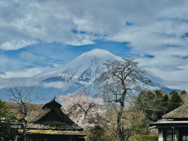 Tokyo: Mt Fuji and Hakone Full Day Private Tour - Good To Know