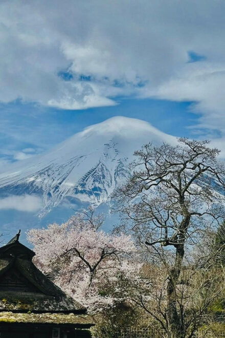 Tokyo: Mt Fuji and Hakone Full Day Private Tour - Itinerary Highlights of the Tour